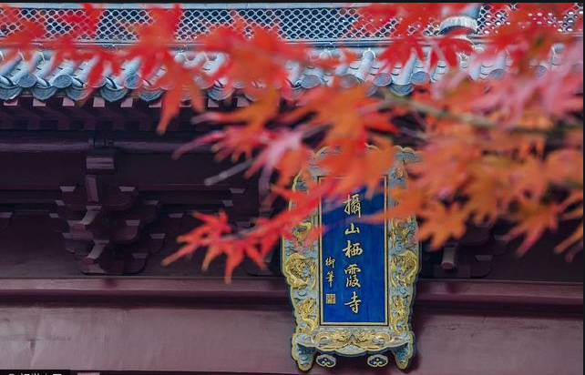 棲霞山楓葉換新顏，賞心悅目令人贊