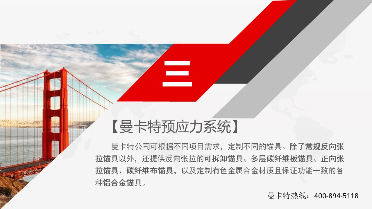 預(yù)應(yīng)力碳板錨具 (19)